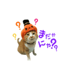 河瀬家にゃんこ ハロウィン（個別スタンプ：21）