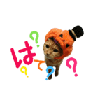 河瀬家にゃんこ ハロウィン（個別スタンプ：22）
