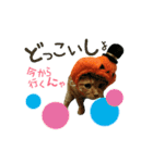 河瀬家にゃんこ ハロウィン（個別スタンプ：24）
