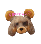 わんこの表情・気持ち（個別スタンプ：3）
