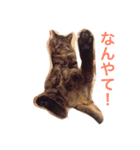 チョコスタンプ3（個別スタンプ：13）