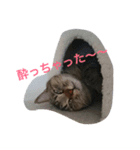 くみちょの日常②（個別スタンプ：5）