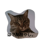 くみちょの日常②（個別スタンプ：12）