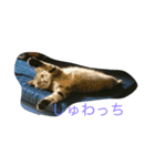 くみちょの日常（個別スタンプ：7）