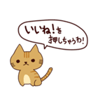 面白い猫 日本語（個別スタンプ：2）