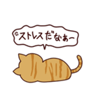 面白い猫 日本語（個別スタンプ：6）