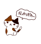 面白い猫 日本語（個別スタンプ：11）