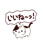 面白い猫 日本語（個別スタンプ：17）