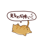 面白い猫 日本語（個別スタンプ：18）