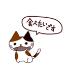 面白い猫 日本語（個別スタンプ：19）