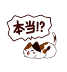 面白い猫 日本語（個別スタンプ：23）