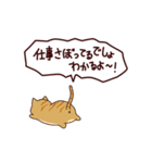 面白い猫 日本語（個別スタンプ：26）