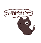 面白い猫 日本語（個別スタンプ：28）