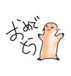 プレーリードッグもどき（個別スタンプ：1）