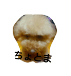 トイプードラー（個別スタンプ：6）