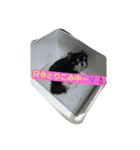 れおん君 ②（個別スタンプ：3）
