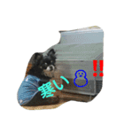 れおん君 ②（個別スタンプ：4）