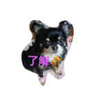 れおん君 ②（個別スタンプ：8）