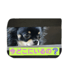 れおん君 ②（個別スタンプ：10）