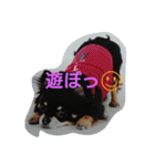 れおん君 ②（個別スタンプ：14）