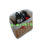 れおん君 ②（個別スタンプ：15）