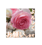 薔薇の花♡PdR_挨拶メッセージ（個別スタンプ：2）