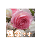 薔薇の花♡PdR_挨拶メッセージ（個別スタンプ：6）