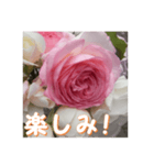 薔薇の花♡PdR_挨拶メッセージ（個別スタンプ：7）