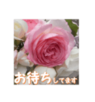 薔薇の花♡PdR_挨拶メッセージ（個別スタンプ：9）