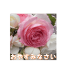 薔薇の花♡PdR_挨拶メッセージ（個別スタンプ：12）