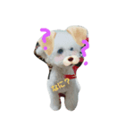 らむ てぃの（個別スタンプ：1）