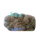 らむ てぃの（個別スタンプ：3）