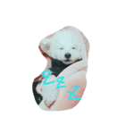 らむ てぃの（個別スタンプ：5）