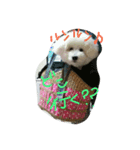 らむ てぃの（個別スタンプ：8）