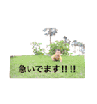 ののたんぷ（個別スタンプ：24）