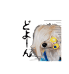 はりはぴ家（個別スタンプ：7）