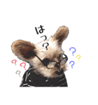 はりはぴ家（個別スタンプ：9）