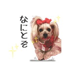はりはぴ家（個別スタンプ：15）