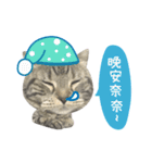 American shorthair Salad.（個別スタンプ：13）