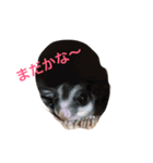 アニマル集合（個別スタンプ：2）