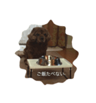 muffin × family（個別スタンプ：2）