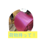 主人に贈るメッセージ（個別スタンプ：2）