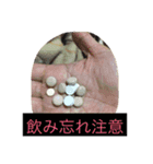 主人に贈るメッセージ（個別スタンプ：4）