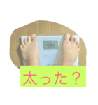 主人に贈るメッセージ（個別スタンプ：6）