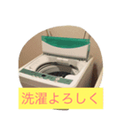 主人に贈るメッセージ（個別スタンプ：8）
