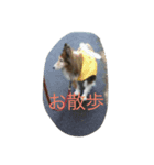 T.A.Y.R（個別スタンプ：1）