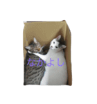 T.A.Y.R（個別スタンプ：2）
