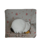 T.A.Y.R（個別スタンプ：7）