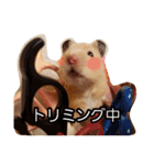 ハムズ（個別スタンプ：2）