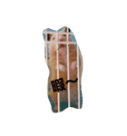 ハムズ（個別スタンプ：5）
